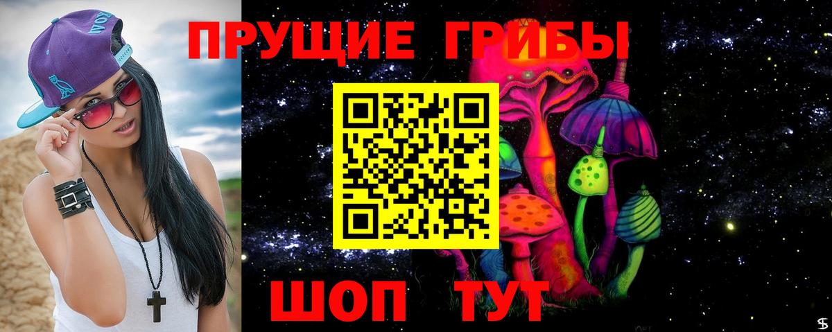 Галлюциногенные грибы Cubensis Осинники