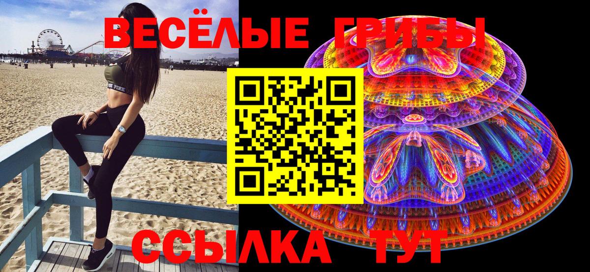 Галлюциногенные грибы Magic Shrooms  как найти закладки  Осинники  Вход с VPN 